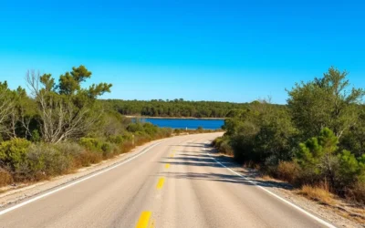 Lake June in Winter Scrub State Park, Florida: Best Things to Do – Top Picks