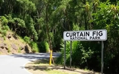 Curtain Fig National Park, Queensland: Best Things to Do – Top Picks