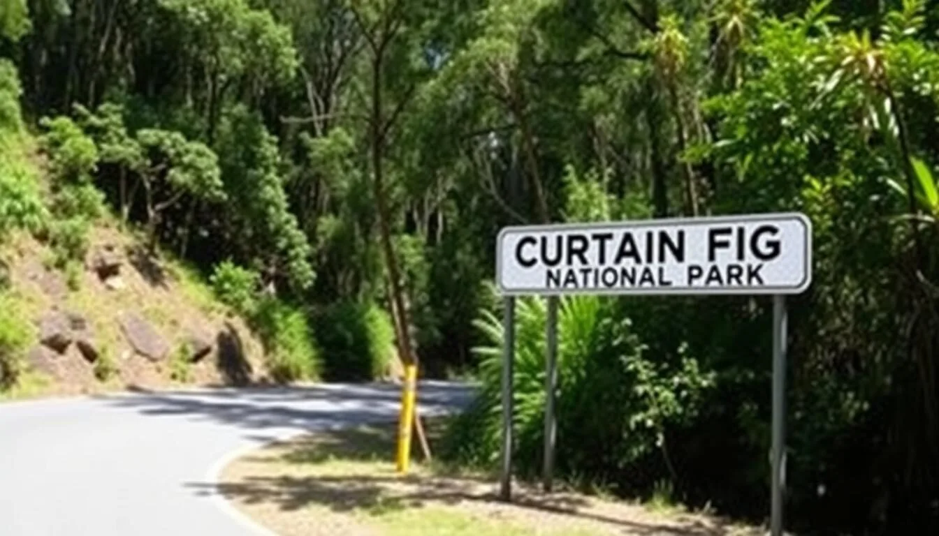 Road sign and entrance to Curtain Fig National Park, Queensland with lush rainforest background