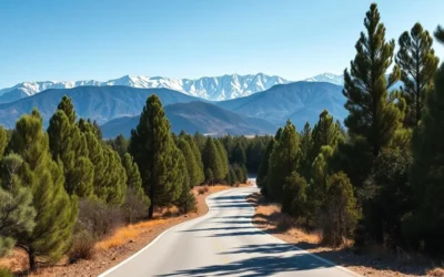 Azrou, Morocco: Best Things to Do – Top Picks