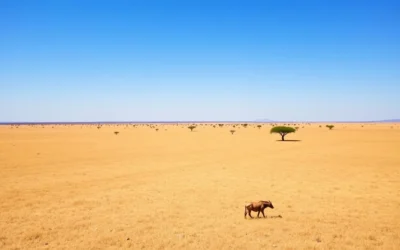 South Sudan: Best Things to Do – Top Picks