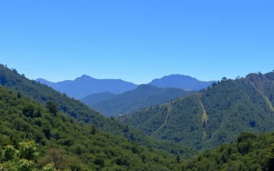 Royal Manas National Park, Bhutan: Best Things to Do – Top Picks