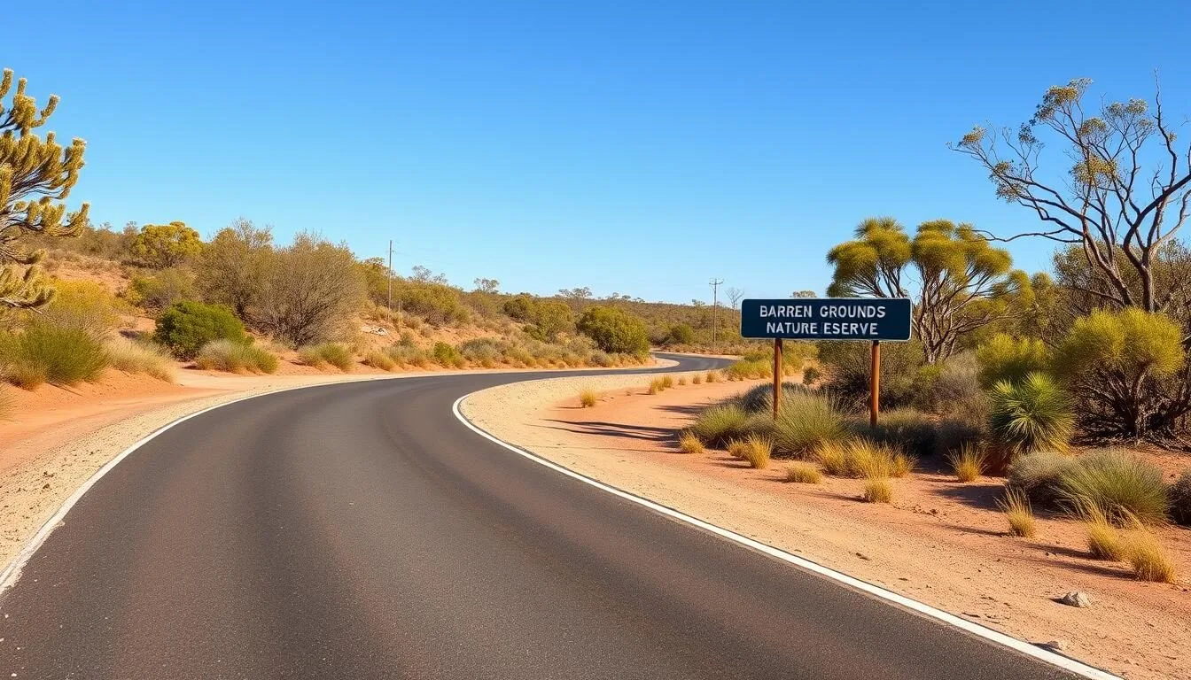 Scenic-road-leading-to-Barren-Grounds-Nature-Reserve-entrance-with-lush-forest-surroundings Scenic road leading to Barren Grounds Nature Reserve entrance with lush forest surroundings