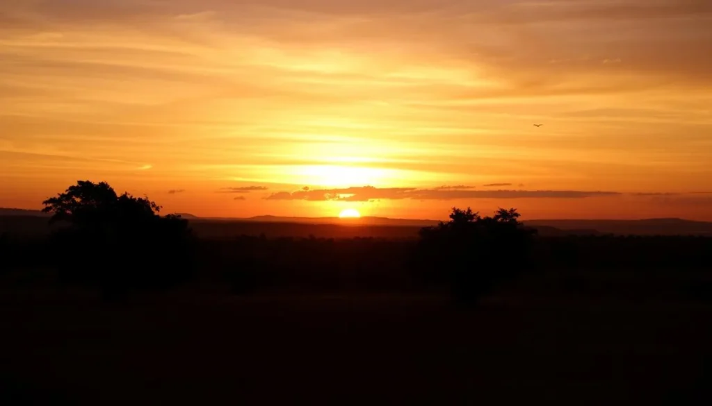 Scenic sunset over Lunugamvehera National Park with silhouettes of trees and wildlife