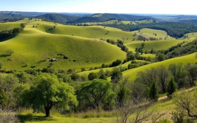 Timberwood Park, Texas: Best Things to Do – Top Picks