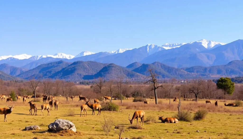 Seasonal landscape of Royal Manas National Park showing clear weather and wildlife activity