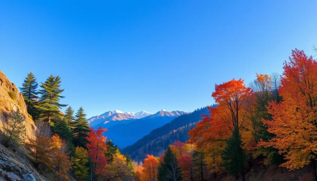 Seasonal landscape of Wangchuck Centennial National Park showing autumn colors