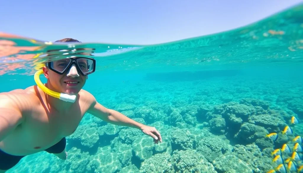 Snorkeling in the clear waters surrounding Telegraph Island