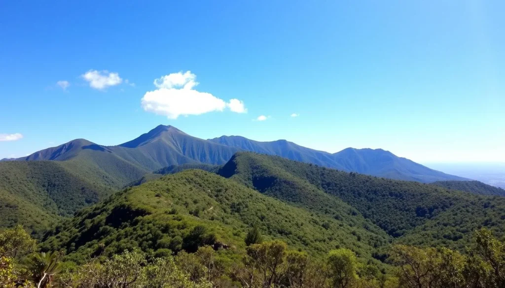 Sunny day at Marojejy National Park with clear views of the mountain peaks and lush vegetation