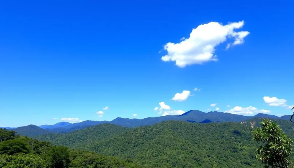 Sunny day at Montana de Comayagua National Park during dry season with clear blue skies