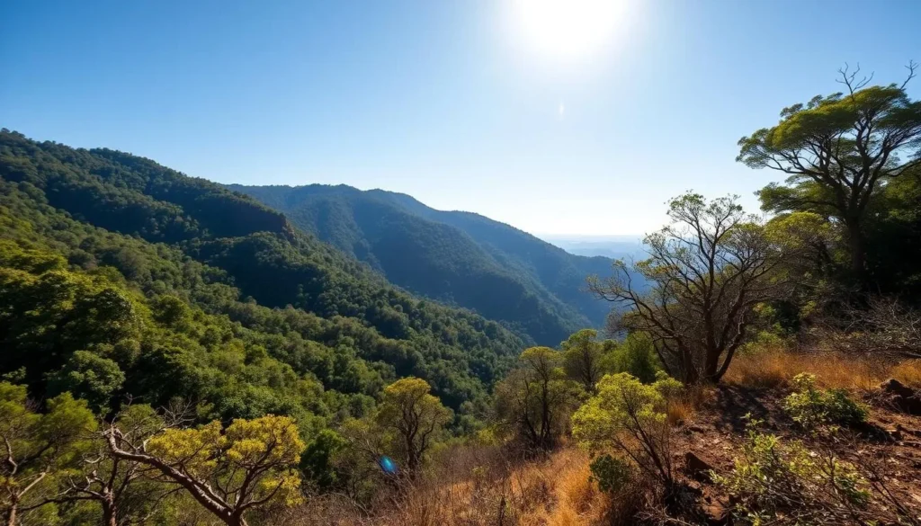 Sunny day in Andohahela National Park showing the transition zone with both forest types visible Sunny day in Andohahela National Park showing the transition zone with both forest types visible