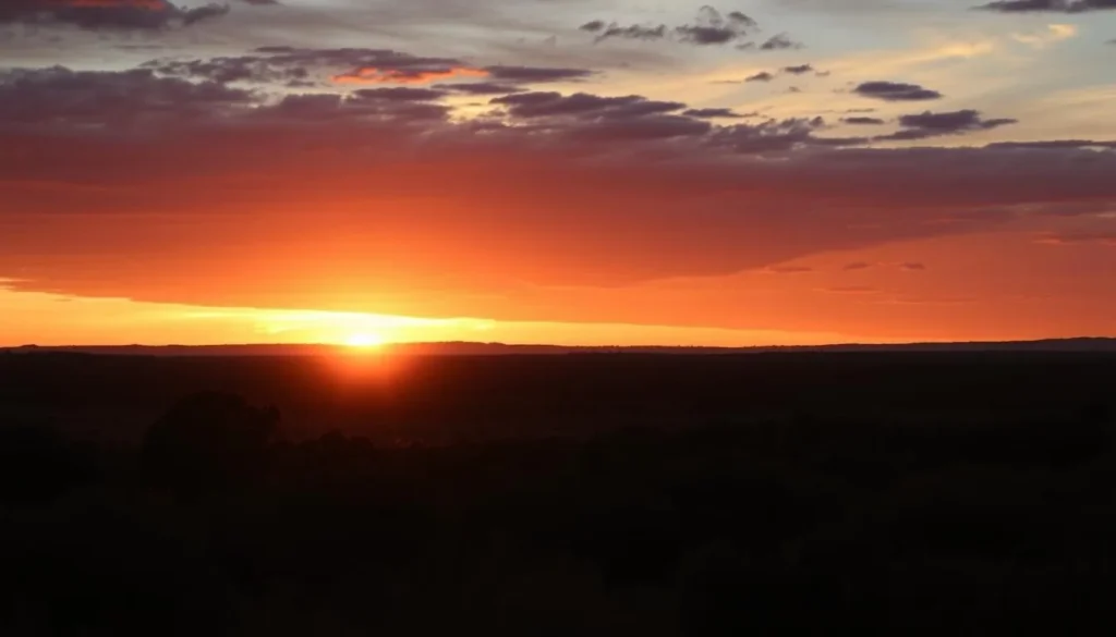 Sunset over Barren Grounds Nature Reserve heathland with silhouetted vegetation