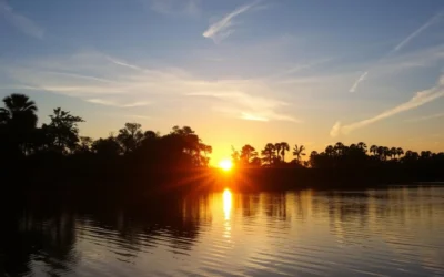 Econfina River State Park, Florida: Best Things to Do – Top Picks