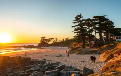 Asilomar State Beach, California: Best Things to Do – Top Picks