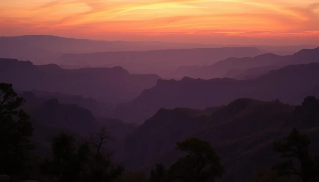 Sunset view over Blackwater Canyon from Pendleton Point with silhouetted trees and golden light