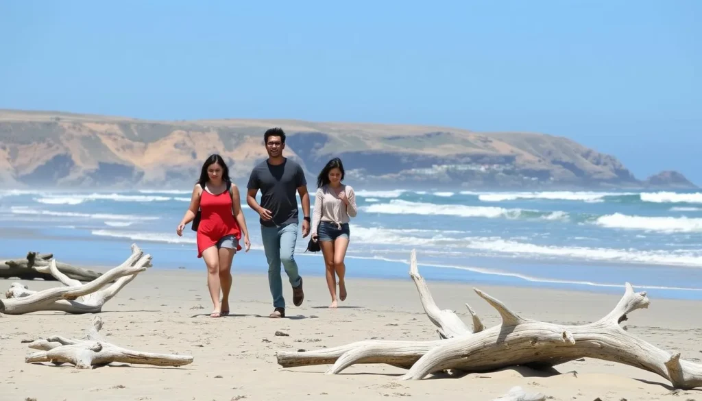 Visitors exploring the driftwood-covered beaches at Manchester State Park with ocean views