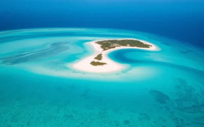 Salt Cay, Turks and Caicos: Best Things to Do – Top Picks