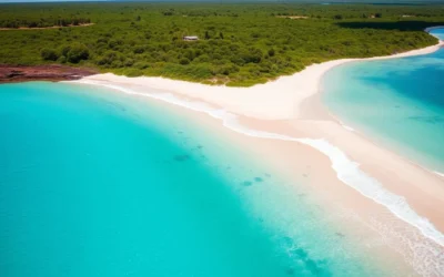 Tiwi Islands, Northern Territory: Best Things to Do – Top Picks