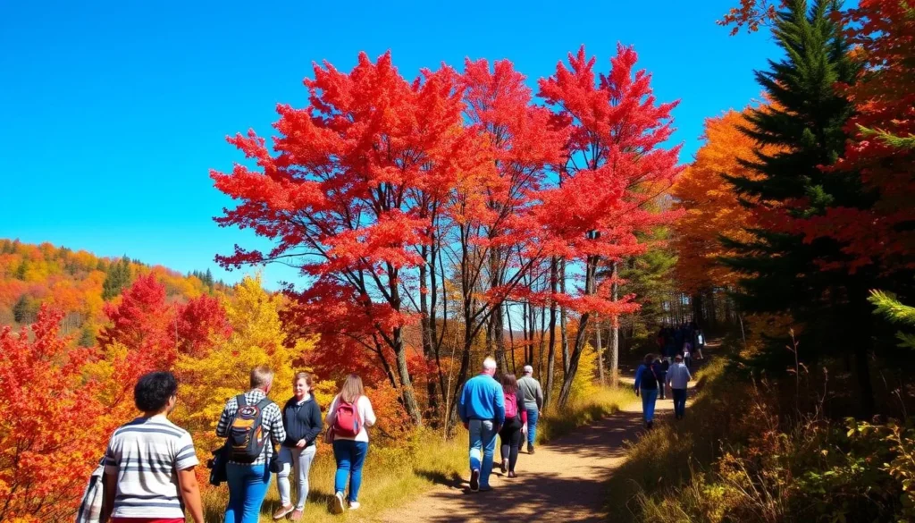 Autumn colors at Laurel Summit State Park Pennsylvania with hikers enjoying the trail Autumn colors at Laurel Summit State Park Pennsylvania with hikers enjoying the trail