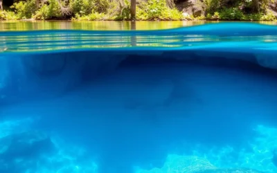 Wes Skiles Peacock Springs State Park, Florida: Best Things to Do – Top Picks