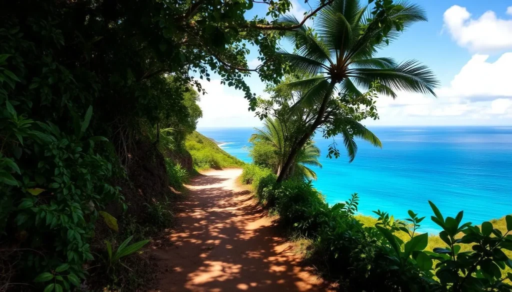 Hiking trail near Anse de Sables with ocean views