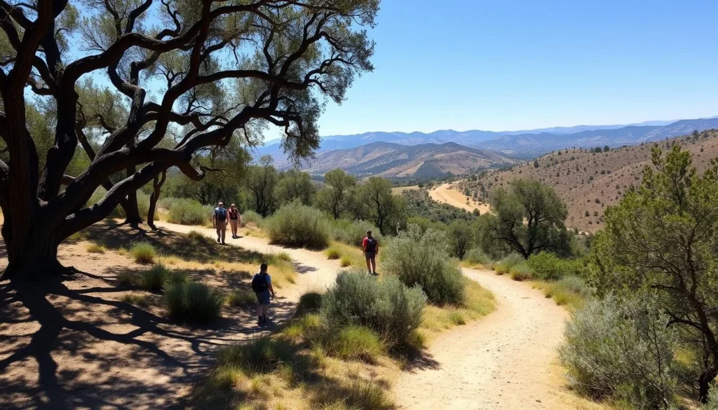 Hiking trail through oak woodland at Fort Tejon State Historic Park Hiking trail through oak woodland at Fort Tejon State Historic Park