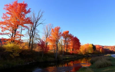 Mont Alto State Park, Pennsylvania: Best Things to Do – Top Picks