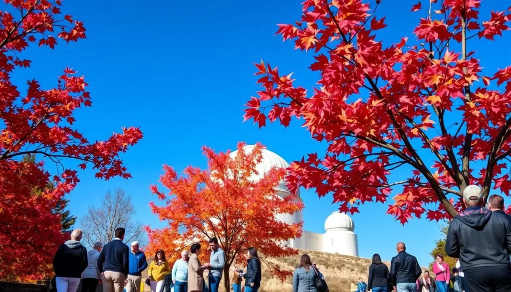 Mount Wilson California things to do in autumn with colorful foliage and clear skies Mount Wilson California things to do in autumn with colorful foliage and clear skies