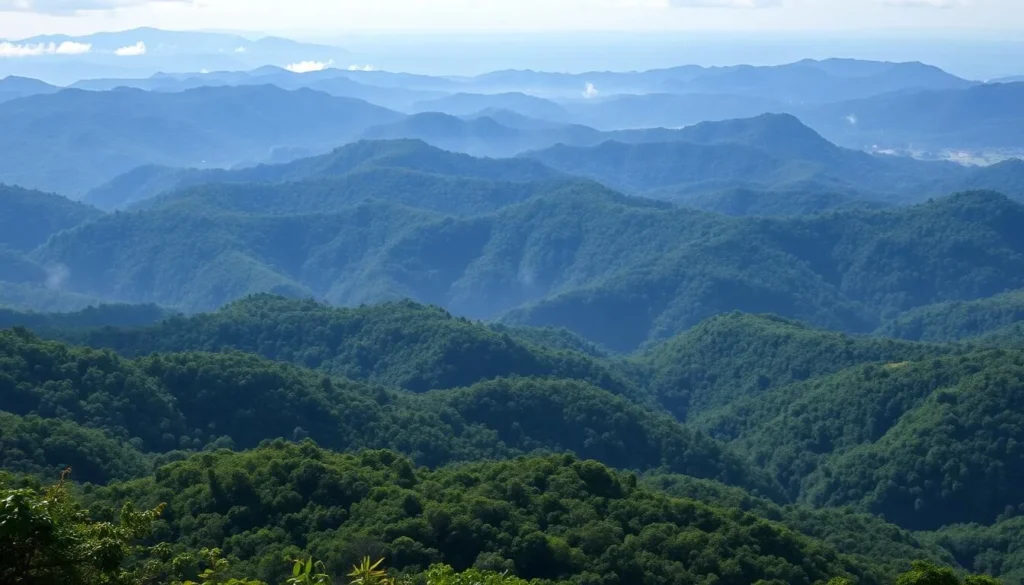 Panoramic view from a ridge in the Kanuku Mountains showing forest canopy stretching to the horizon Panoramic view from a ridge in the Kanuku Mountains showing forest canopy stretching to the horizon