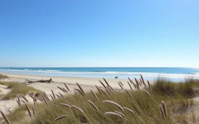 Illinois Beach State Park, Illinois: Best Things to Do – Top Picks