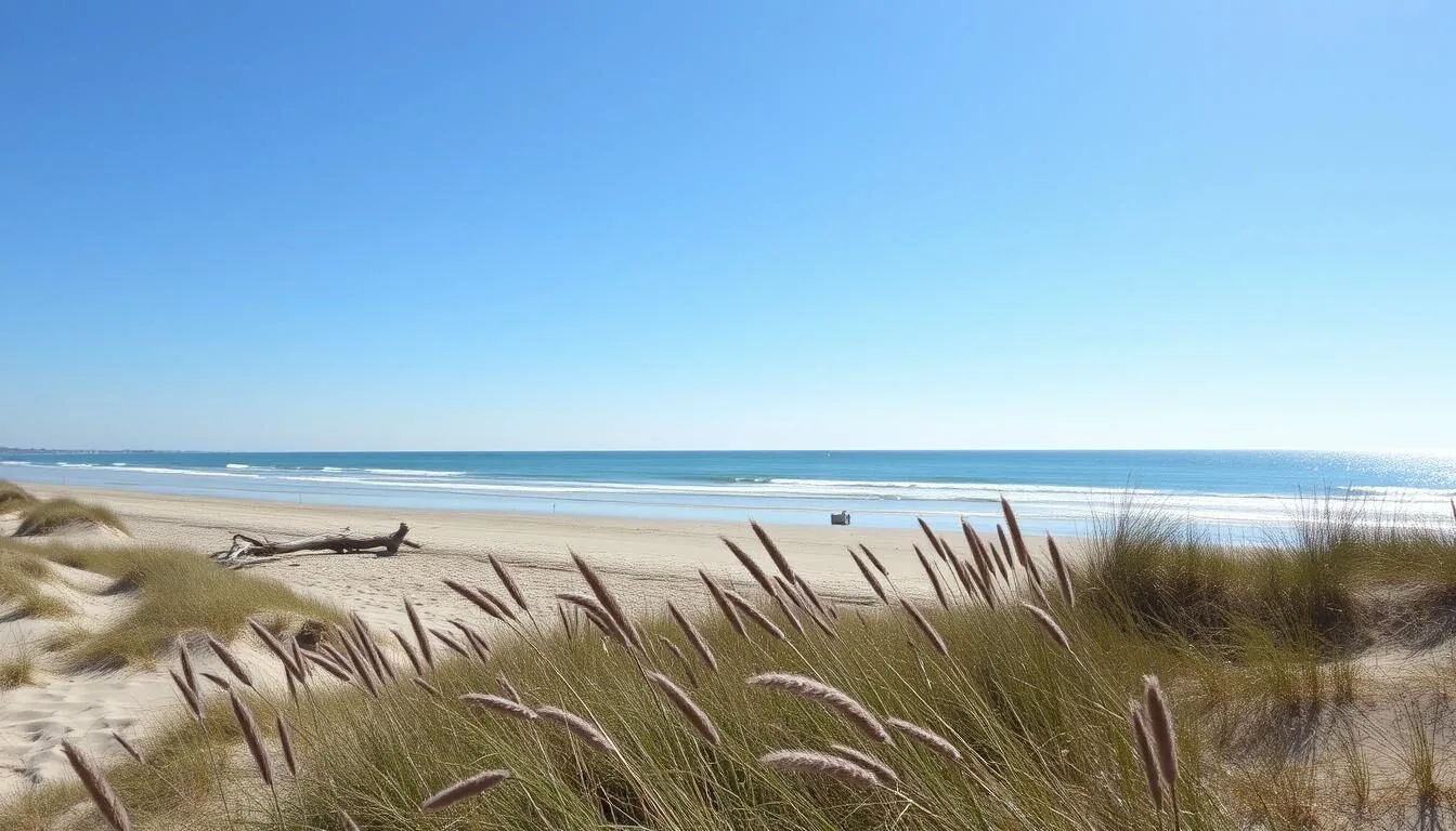 Panoramic-view-of-Illinois-Beach-State-Park-shoreline-with-Lake-Michigan-waves-and-sandy-beach Panoramic view of Illinois Beach State Park shoreline with Lake Michigan waves and sandy beach