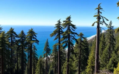 Limekiln State Park, California: Best Things to Do – Top Picks