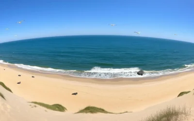 Moss Landing State Beach, California: Best Things to Do – Top Picks