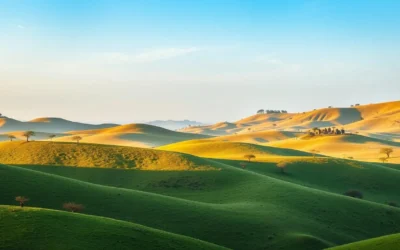 Omo National Park, Ethiopia: Best Things to Do – Top Picks