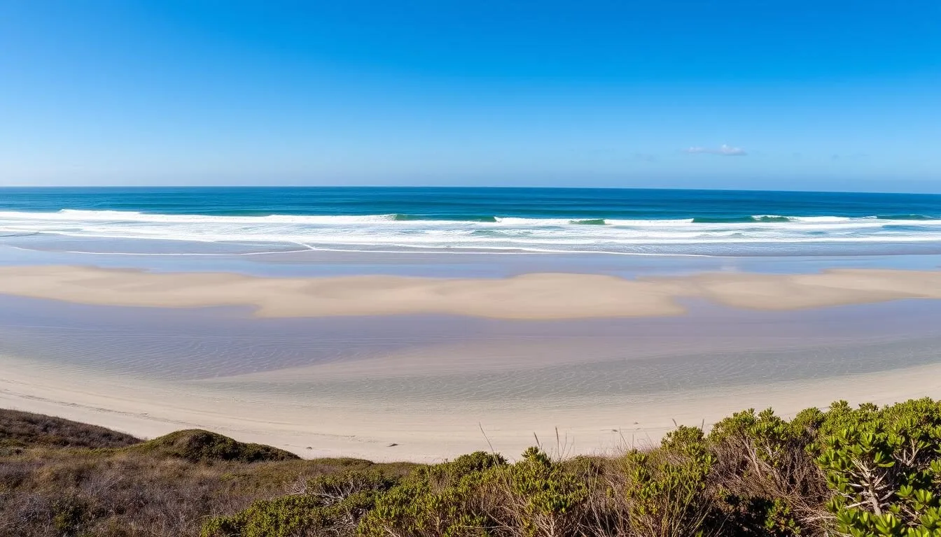 Panoramic view of Pelican State Beach California showing the pristine sandy shoreline and ocean waves