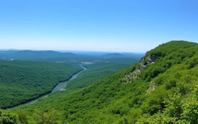 Peters Mountain, Pennsylvania: Best Things to Do – Top Picks