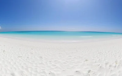 Taylor Bay Beach, Turks and Caicos: Best Things to Do – Top Picks