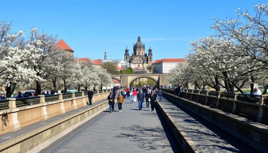 Prague's Charles Bridge in spring with blooming trees and moderate crowds