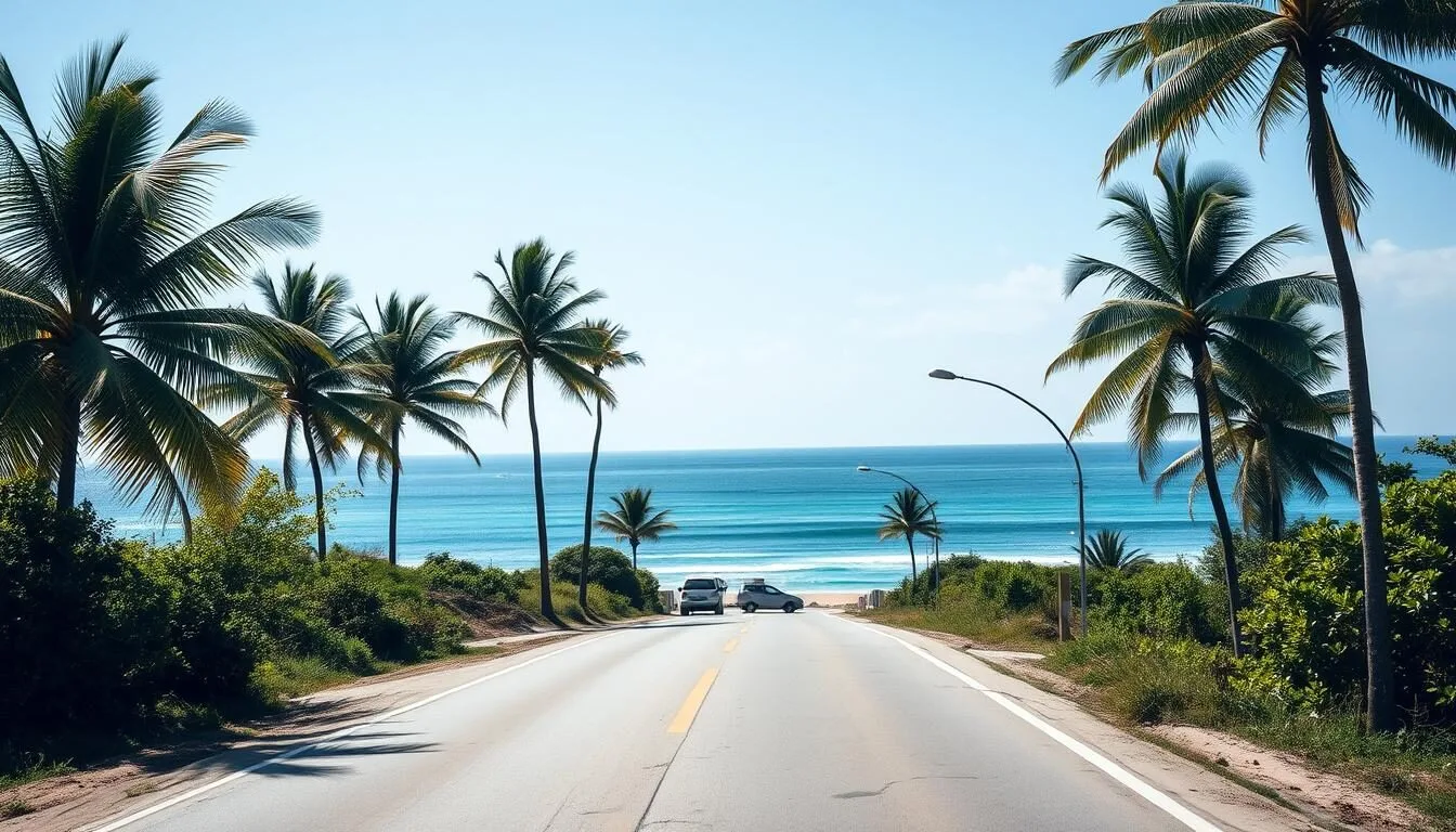 Scenic-coastal-road-leading-to-Playa-Giron-with-palm-trees-and-blue-waters-visible-in-the Scenic coastal road leading to Playa Giron with palm trees and blue waters visible in the distance