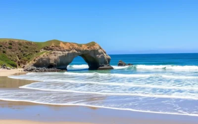 Natural Bridges State Beach, Santa Cruz, California: Best Things to Do – Top Picks