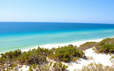 Topsail Hill Preserve State Park, Florida: Best Things to Do – Top Picks