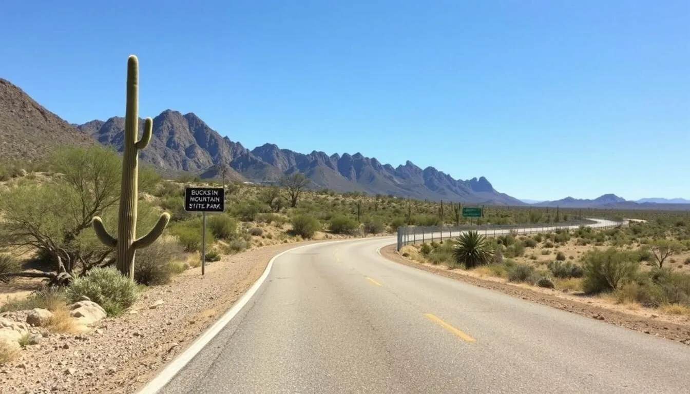 Scenic-desert-road-leading-to-Buckskin-Mountain-State-Park-with-mountains-in-the-background-and Scenic desert road leading to Buckskin Mountain State Park with mountains in the background and desert vegetation alongside the road