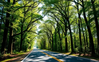 Horseshoe Lake (Madison County) State Park, Illinois: Best Things to Do – Top Picks