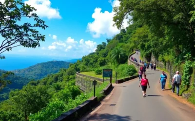 Macaya National Park, Haiti: Best Things to Do – Top Picks