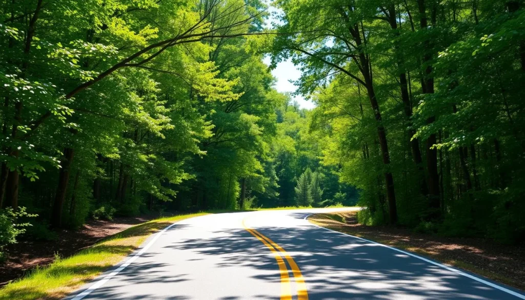 Scenic road leading to Bald Knob through the Shawnee National Forest with lush green trees on both sides