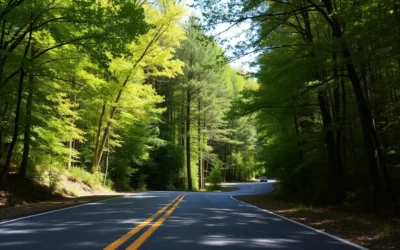 Lyman Run State Park, Pennsylvania: Best Things to Do – Top Picks