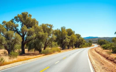 Naracoorte Caves National Park, South Australia: Best Things to Do – Top Picks