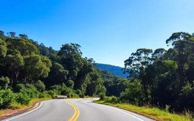 Springbrook National Park, Queensland: Best Things to Do – Top Picks