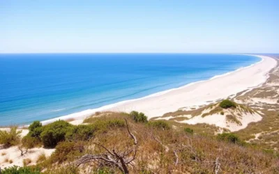 Illinois Beach Nature Preserve, Illinois: Best Things to Do – Top Picks