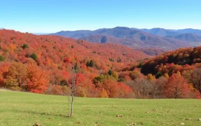 Laurel Mountain State Park, Pennsylvania: Best Things to Do – Top Picks